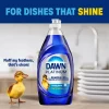 Dawn Fresh Rain Platinum Dish Soaps - 24 fl oz: Liquid Cleaner, Removes Grease, Multi-Surface Use
